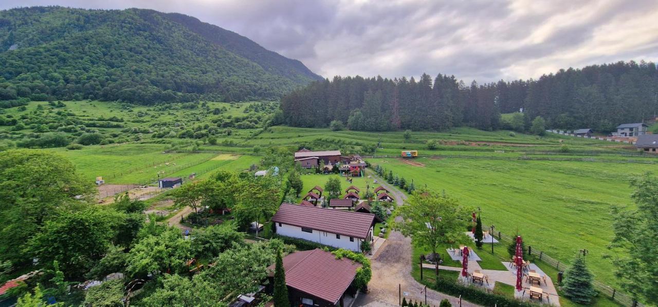 Vila Hora Cu Brazi Zarnesti Exterior foto